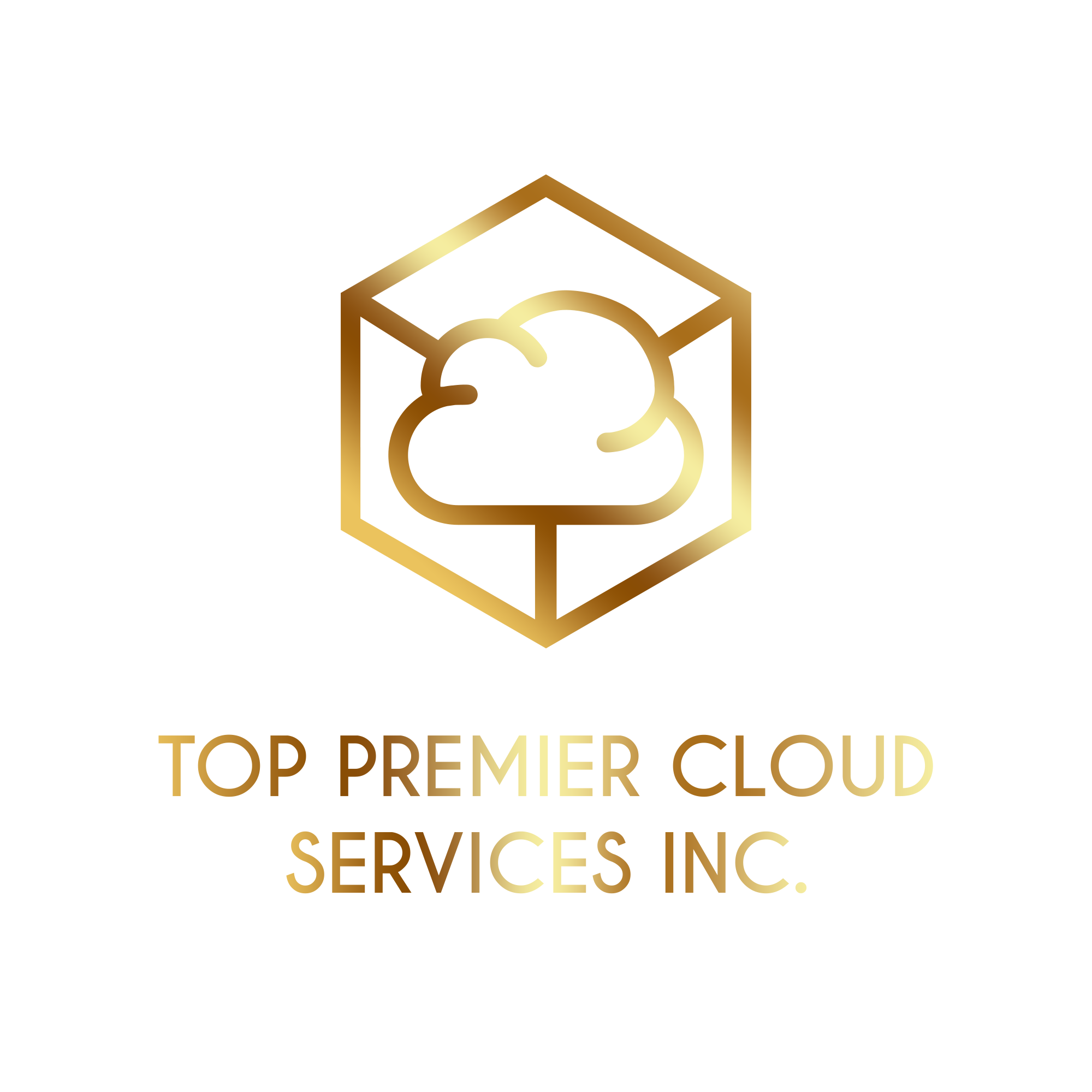 Reliable Cloud Solutions by Top Premier Cloud