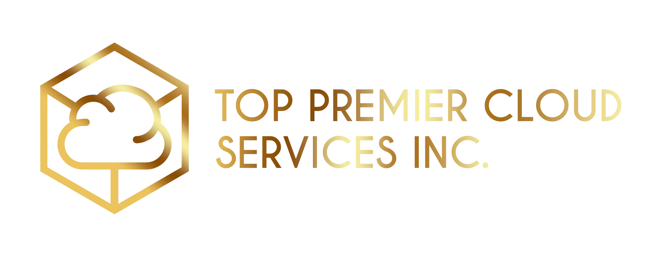 Top Premier Cloud